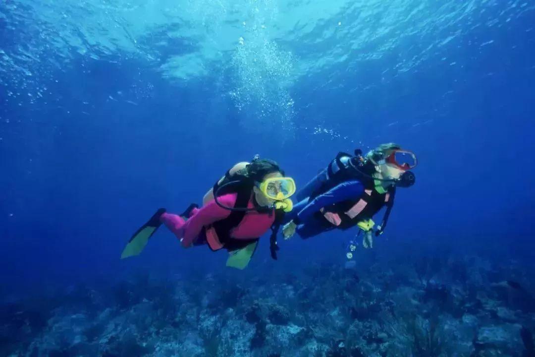 没有本地安全策略怎么办游戏画面